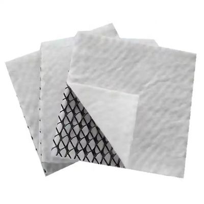 quality Geonet compuesto en 3D HDPE de aislamiento de drenaje de almacenamiento impermeable dentro de 50 m de longitud factory